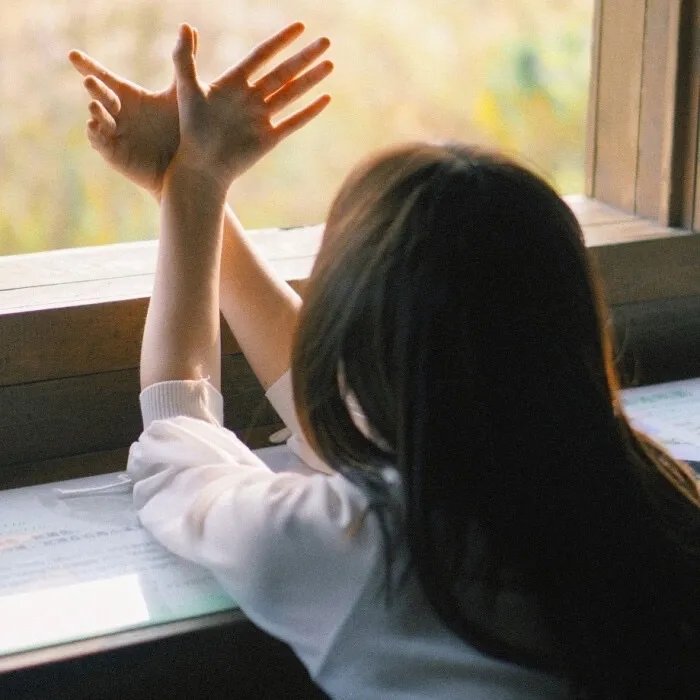 恐龙战队第三季