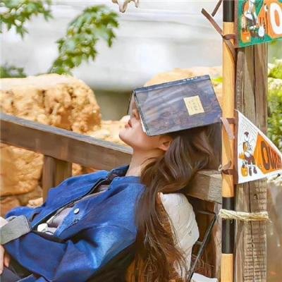 玩具总动员：遗忘的时光