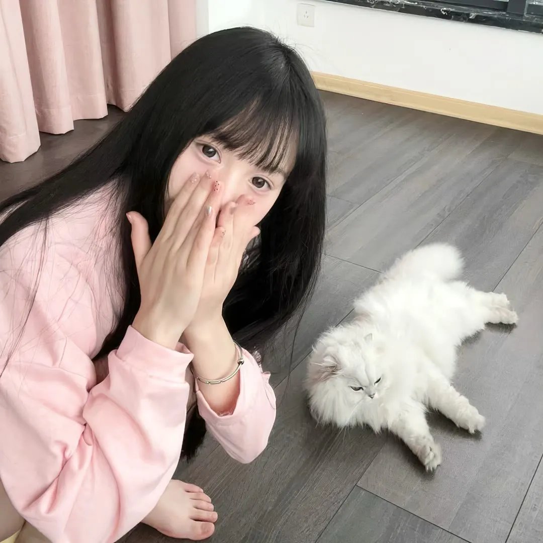 我不恋爱的理由